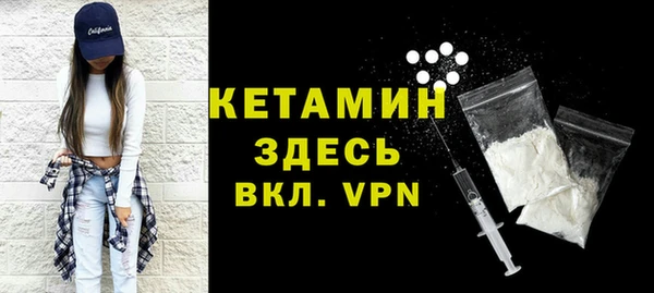 шишки Коряжма