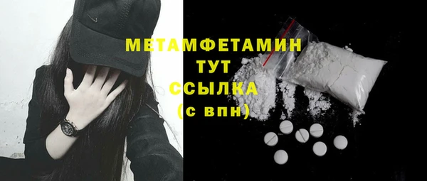 шишки Коряжма
