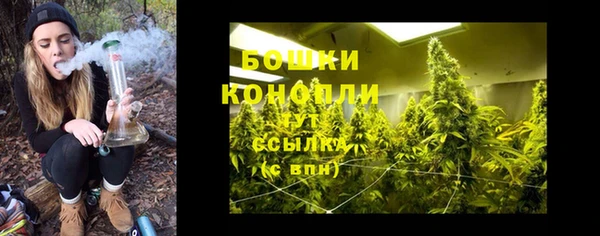 МДПВ Костерёво