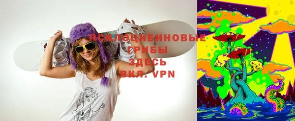 МДПВ Костерёво