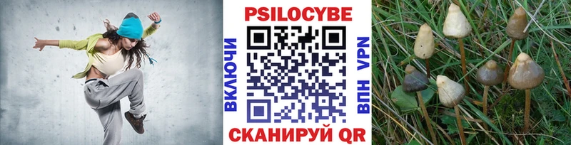маркетплейс клад  Шумерля  Псилоцибиновые грибы ЛСД  магазин   