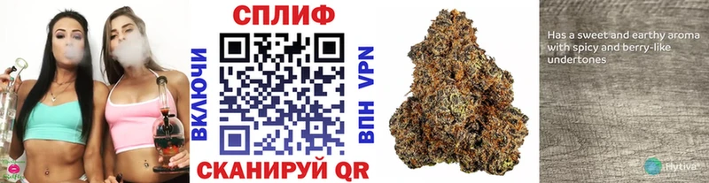 блэк спрут ONION  Шумерля  Бошки Шишки OG Kush 
